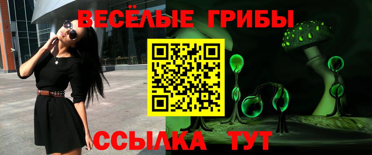 Псилоцибиновые грибы Psilocybine cubensis  Вход с VPN  Ачинск  Псилоцибиновые грибы Cubensis 